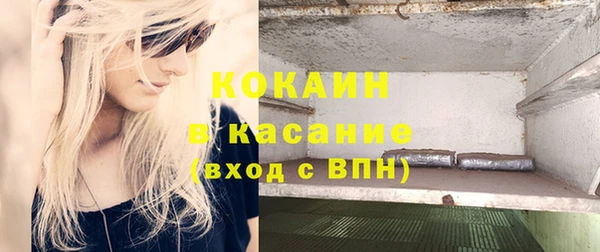 прущие грибы Пенза